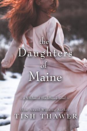 Cover of the book The Daughters of Maine by Tish Thawer