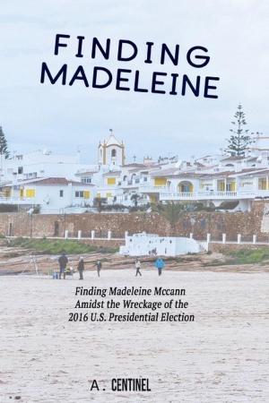 Cover of Finding Madeleine