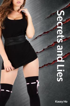 Cover of the book Secrets and Lies by Teagan Rand