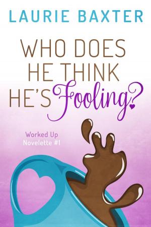 Cover of the book Who Does He Think He's Fooling? by KC Enders