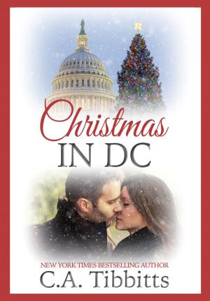 Cover of Christmas In D.C.