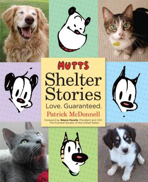 Cover of the book MUTTS Shelter Stories by Anne Kalicky