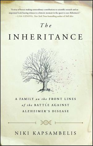 Cover of the book The Inheritance by Ginger Strand