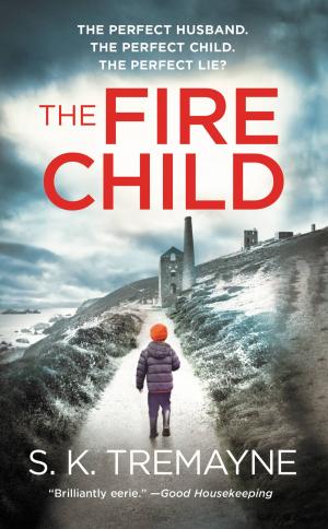 Cover of the book The Fire Child by Nicholas Sparks