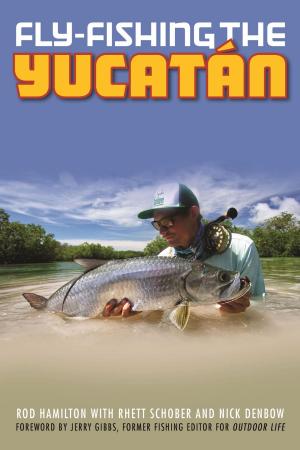 Cover of the book Fly-Fishing the Yucatan by David Montgomery