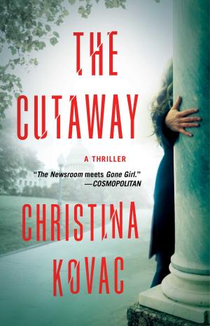 Cover of the book The Cutaway by Bellamy Grayfield