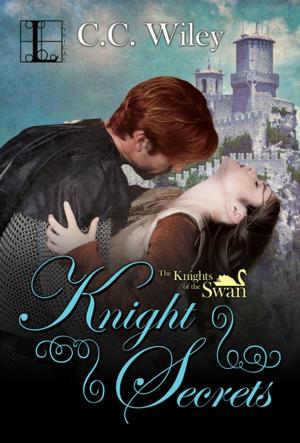 Cover of the book Knight Secrets by Laurie Loveman