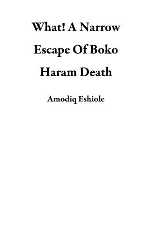 Cover of the book What! A Narrow Escape Of Boko Haram Death by Derek Jeter