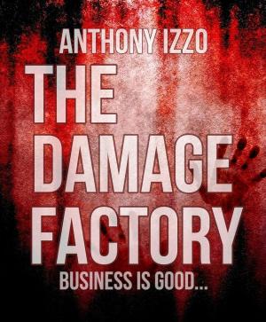 Cover of the book The Damage Factory by Eric Praschan