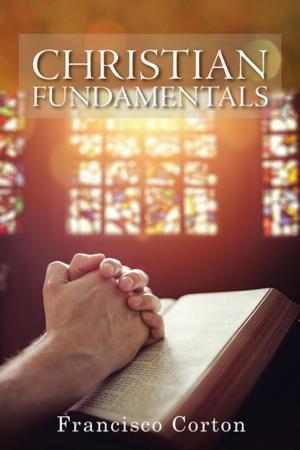 Cover of the book Christian Fundamentals by Herbert R. Warner