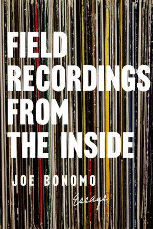 Book cover of Field Recordings from the Inside
