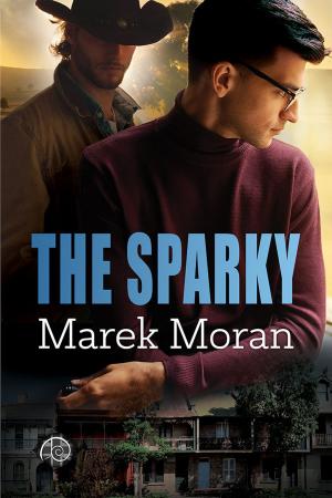 Cover of the book The Sparky by Mary Calmes