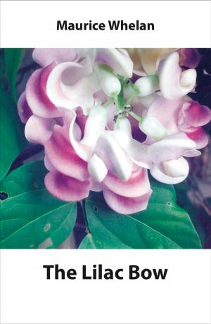 Book cover of The Lilac Bow