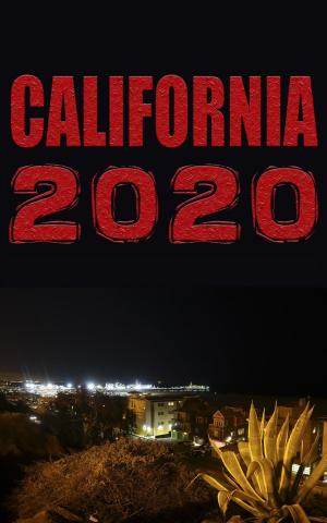 bigCover of the book California 2020 by 
