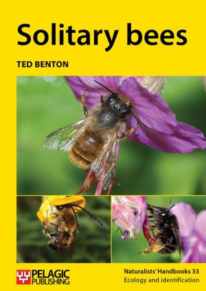 Cover of the book Solitary bees by John W. Wilkinson