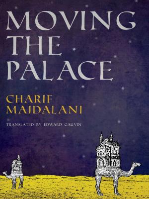 Cover of the book Moving the Palace by Yitzhak Gormezano Goren