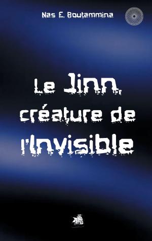 Book cover of Le Jinn, créature de l'invisible