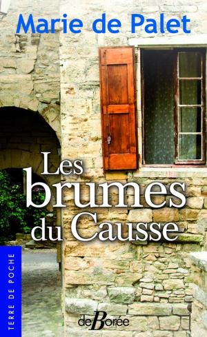 Cover of the book Les Brumes du causse by Joseph Vebret