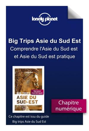 Cover of the book Big Trips Asie du Sud-Est - Comprendre l'Asie du Sud est et Asie du Sud est pratique by Dorian NIETO