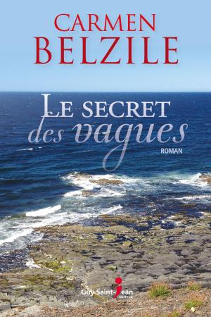 Book cover of Le secret des vagues