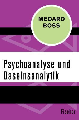 Cover of the book Psychoanalyse und Daseinsanalytik by Otto Flake