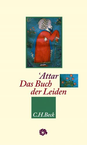 Cover of the book Das Buch der Leiden by Dieter Lüst