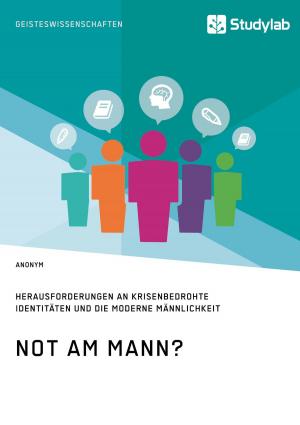 Cover of the book Not am Mann? Herausforderungen an krisenbedrohte Identitäten und die moderne Männlichkeit by Sebastian Liebram