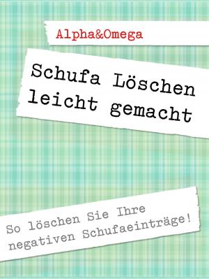 Cover of the book Schufa Löschen leicht gemacht by Jasmin Glöckner