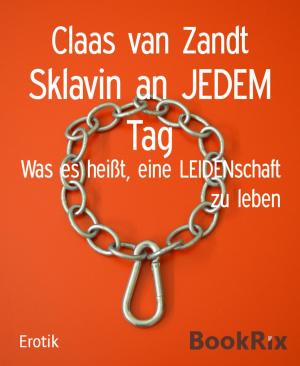 Cover of the book Sklavin an JEDEM Tag by Cathy Siebenblatt
