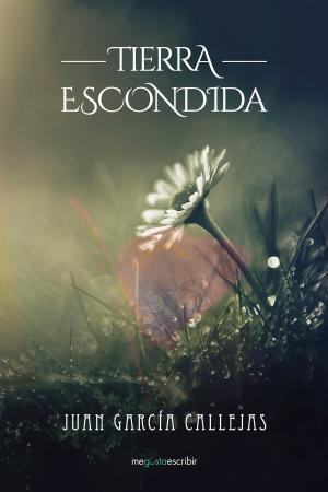 Cover of the book Tierra escondida by Rick Riordan