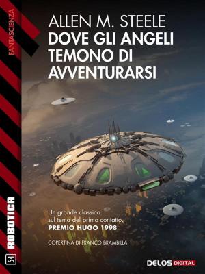 Cover of the book Dove gli angeli temono di avventurarsi by RB Parkline