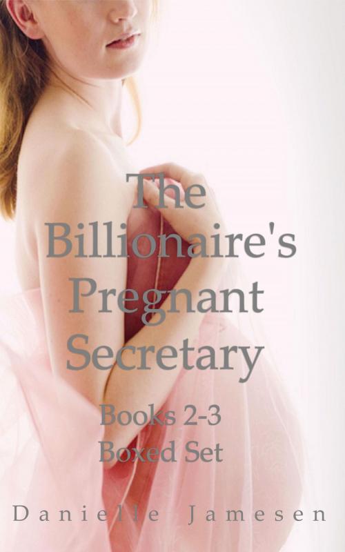 Cover of the book The Billionaire's Pregnant Secretary 2-3 Boxed Set by Danielle Jamesen, Danielle Jamesen