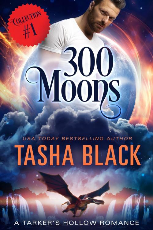 Cover of the book 300 Moons Collection 1 by Tasha Black, 13th Story Press