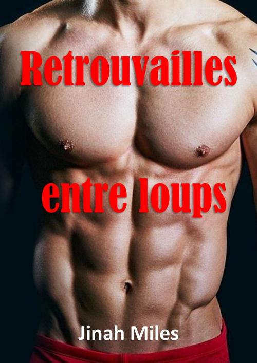 Cover of the book Retrouvailles entre loups by Jinah Miles, JM Edition