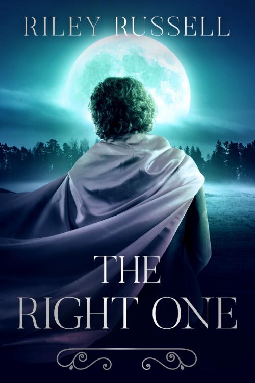 Cover of the book The Right One by Riley Russell, Morning Gate Press