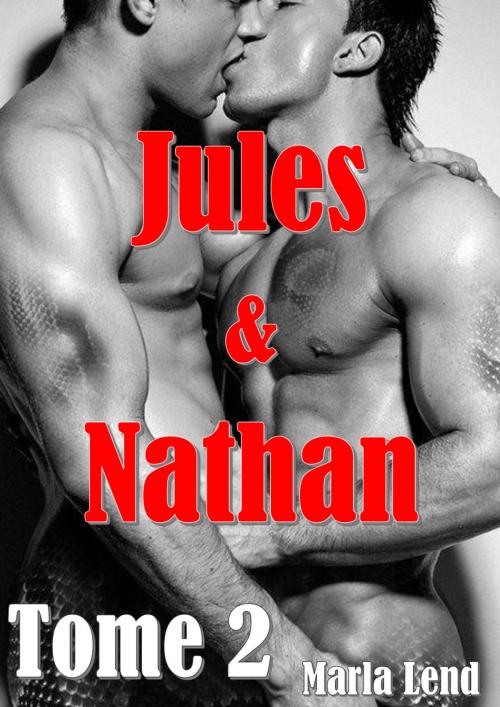 Cover of the book Jules & Nathan - Tome 2 by Marla Lend, ML Edition