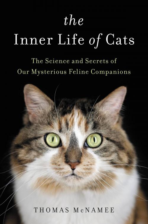 Cover of the book The Inner Life of Cats by Thomas McNamee, Hachette Books