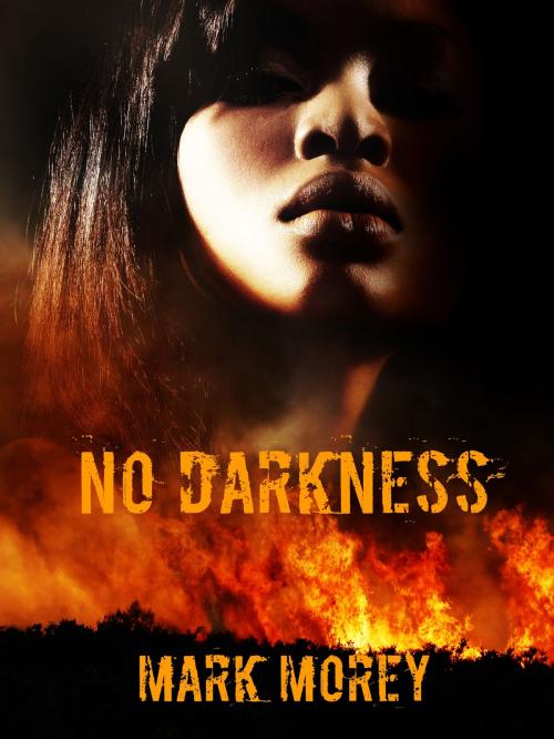 Cover of the book No Darkness by Mark Morey, Mark Morey