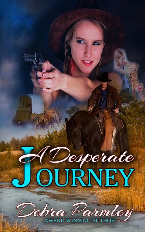 Cover of the book A Desperate Journey by Debra Parmley, Belo Dia Publishing Inc.