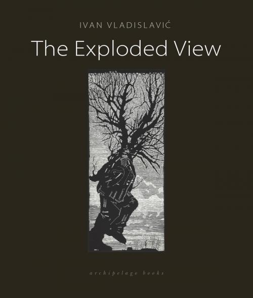 Cover of the book The Exploded View by Ivan Vladislavic, Steerforth Press