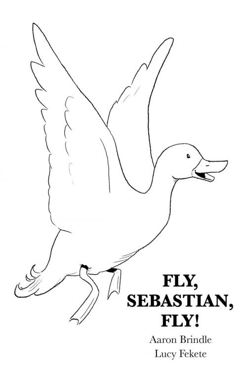 Cover of the book Fly, Sebastian, Fly! by Aaron Brindle, Crescent Moon Books