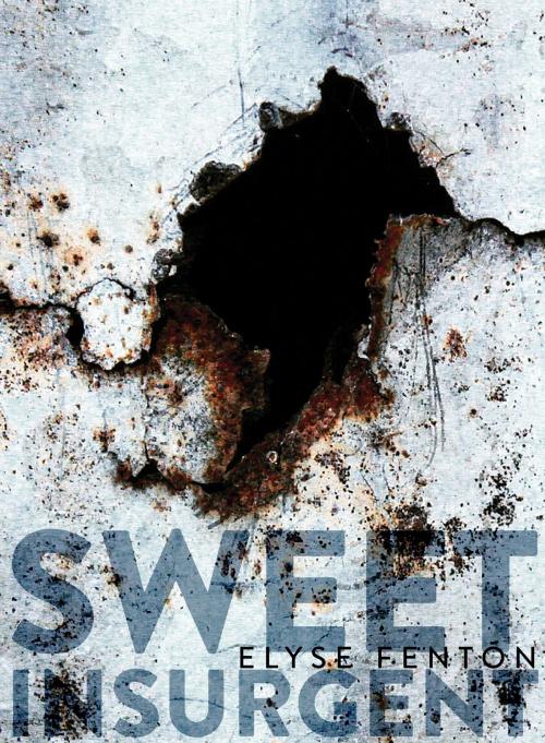 Cover of the book Sweet Insurgent by Elyse Fenton, Saturnalia Books