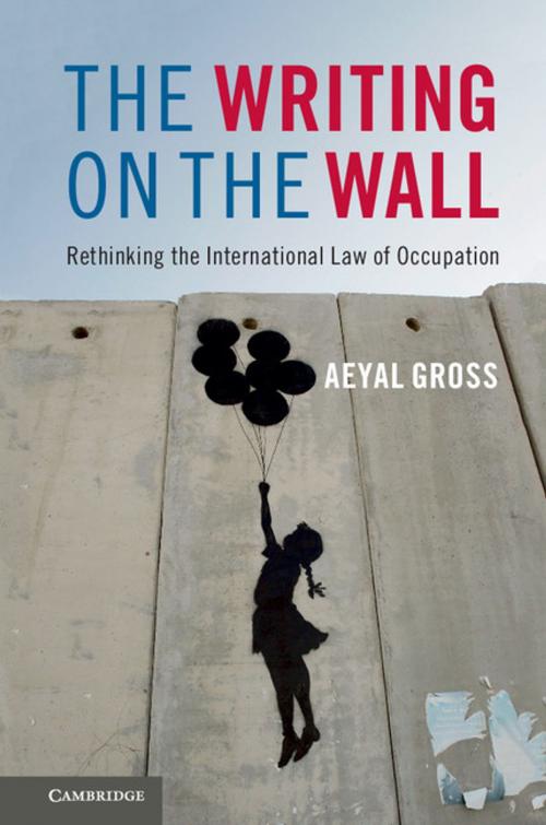 Cover of the book The Writing on the Wall by Aeyal Gross, Cambridge University Press