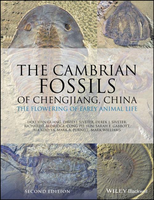 Cover of the book The Cambrian Fossils of Chengjiang, China by Hou Xian-Guang, David J. Siveter, Derek J. Siveter, Richard J. Aldridge, Cong Pei-Yun, Sarah E. Gabbott, Ma Xiao-Ya, Mark A. Purnell, Mark Williams, Wiley