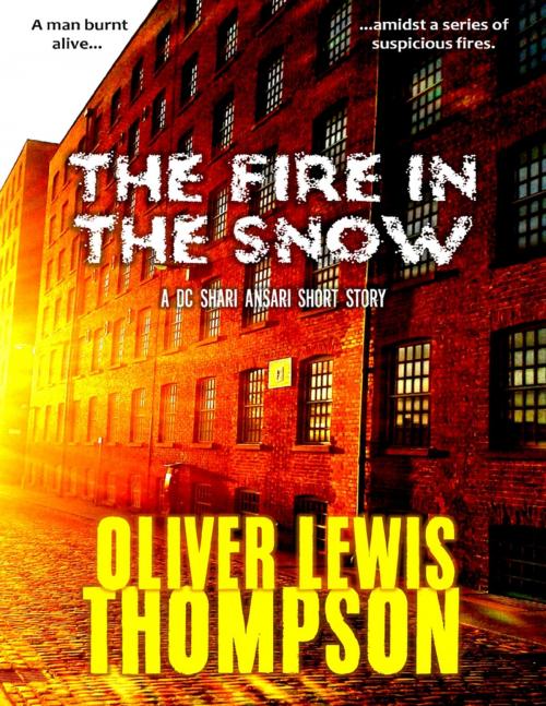 Cover of the book The Fire In the Snow by Oliver Lewis Thompson, Lulu.com