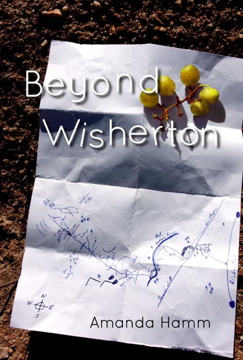 Cover of the book Beyond Wisherton by Amanda Hamm, Before Someday Publishing