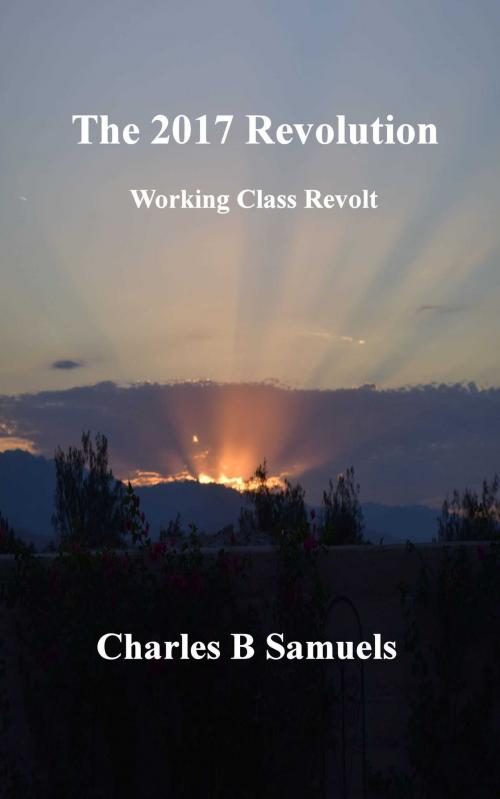 Cover of the book The 2017 Revolution by Charles Samuels, Charles Samuels