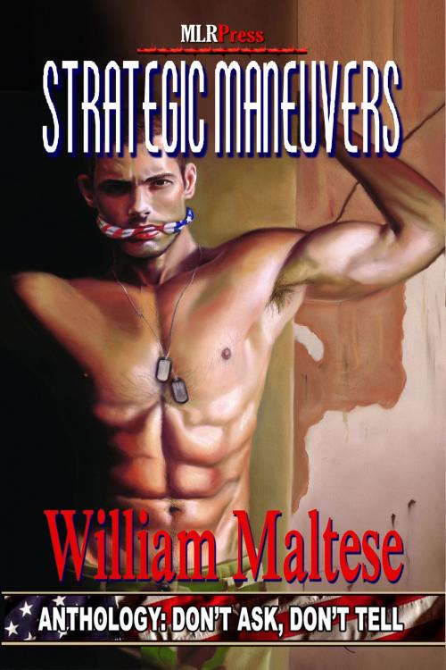 Cover of the book Strategic Manuvers by William Maltese, MLR Press