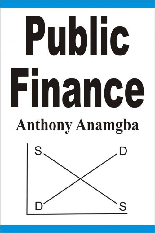 Cover of the book Public Finance by Anthony Anamgba, Anthony Anamgba