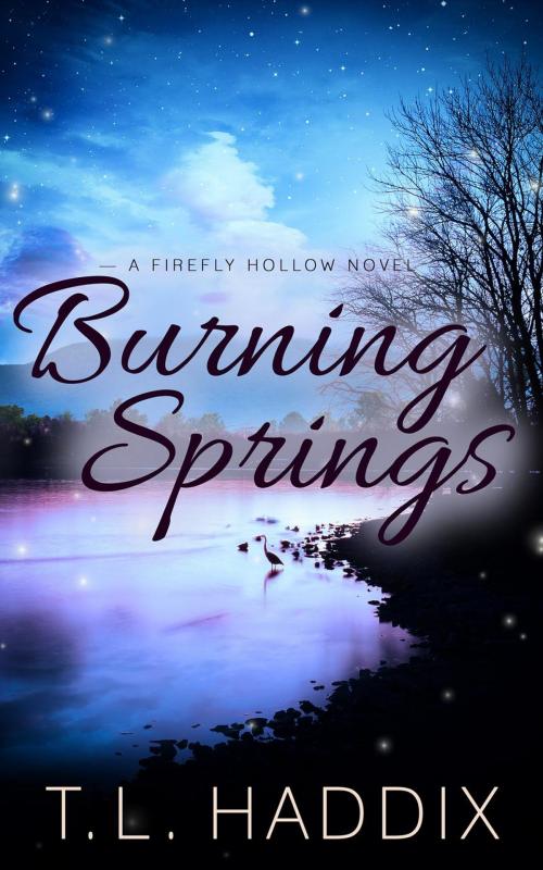 Cover of the book Burning Springs by T. L. Haddix, Streetlight Graphics Publishing